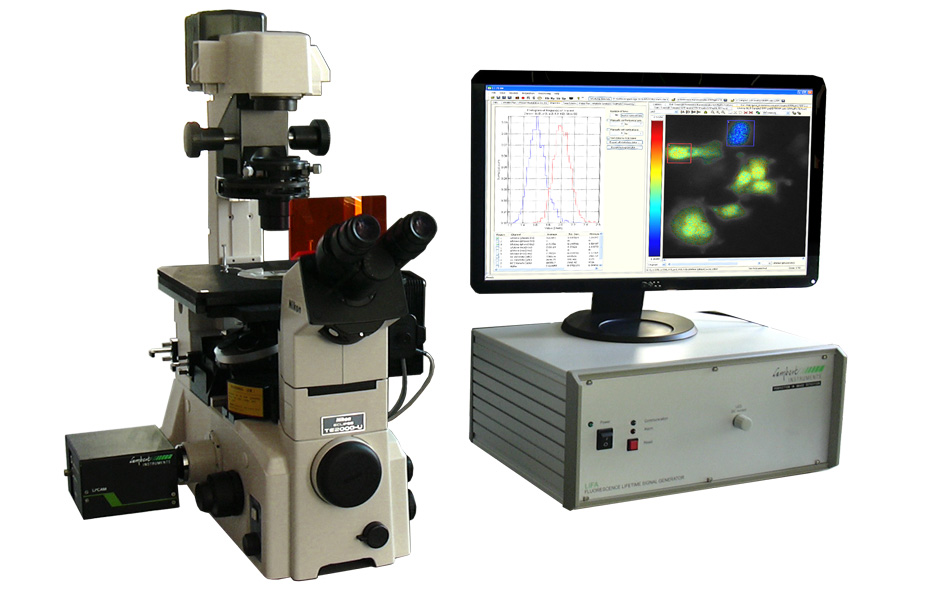 LIFA-P Phosphorescence Lifetime Imaging